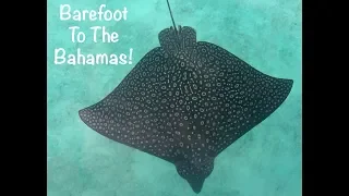 We made it to the BAHAMAS! Barefoot Sail and Dive (Episode 8)