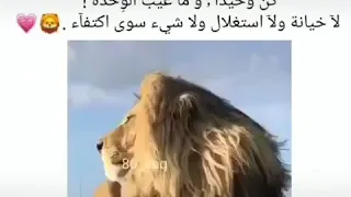 غريبة الدنيا تخدعنا وتغرينا وعلى الأوهام تاخذنا وتر د بينا 