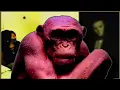 USELESS AVI - The Mysterious SNUFF That Never Existed