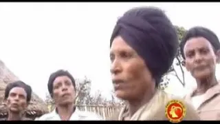 Guragigna By Mohammed Awole 