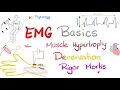 Download Lagu Electromyography (EMG) Basics, Muscle Hypertrophy, Denervation, Rigor Mortis - Muscle Physiology