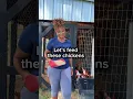 Let s feed these chickens and talk about a few thangs