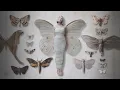 AURORA - Through The Eyes Of A Child