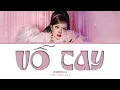 Download Lagu PHƯƠNG LY ‐ VỖ TAY (Color Coded Lyrics) | kanji
