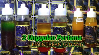 Download Bongkar sejarah 3 produk unggulan pertama Essen Jaran Goyang!!! MP3