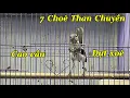 Download Lagu 26-8 Chia Sẻ 7 Choè Than Chuyền Siêu Mẫu Hot Gi.á Hạt Rẻ Cho Ae Mài Rũa