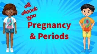 all about you pregnancy and periods