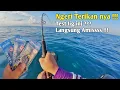 Download Lagu REEL SAMPAI BERDERIT KENCANG DITARIK IKAN INI !!! JIG BARU LANGSUNG AMIS 