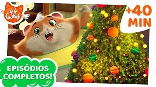 44 Gatos | 40 MINUTOS | Episódios completos | Os Melhoes Videos do Natal! ☃️🎁