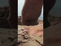 Download Lagu Giantess Roma soles stomp! #feet #giant #stomp #crush #beach