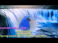 Download Lagu #Terapi  Selendang Biru stress atau Lelet Bunyi dengan gemricik air.
