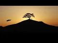 Cro - Baum | Lyrics