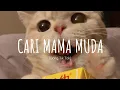 Cari Mama Muda - DJ VIRAL TERBARU (remix) // (Vietsub + Lyric) Song Tik Tok