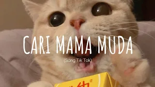 Download Cari Mama Muda - DJ VIRAL TERBARU (remix) // (Vietsub + Lyric) Song Tik Tok MP3