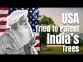Lagu America Almost Patented Vilva \u0026 Neem | Sadhguru