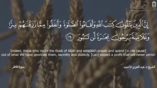  ي ر ج ون  ت ج ار ة  ل  ن ت ب ور   تلاوة رائعة د  عبد العزيز الأحمد دندنها