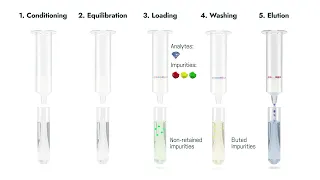 The 5 steps of a solid phase extraction SPE