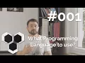 ProArchitect - What Programming Language to use