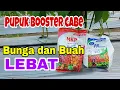 Lagu Pupuk MKP \u0026 KNO3 Untuk Masa pembungaan dan Pembuahan Cabe | Bolehkah Dicampur? Chili fertilizer