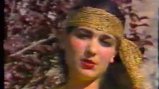 ZHENUS ژينوس ای گل مغرور و بې وفا من 