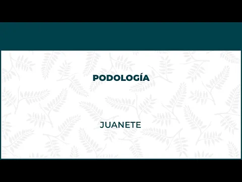 Juanete o Hallux Valgus. Podología - FisioClinics Vitoria, Gasteiz