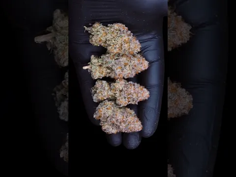 THIS MIGHT BE THE EASIEST WAY TO GROW ⭐🌱 What do you think?