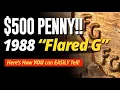 Finding 500 1988 Pennies - the FACTS