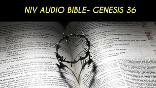 genesis 36 niv audio bible with text 