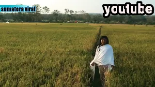 lucu parah parodi lagu india srk