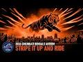 Cincinnati Bengals 2026 Anthem Stripe It Up and Ride