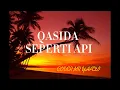 Lagu QASIDA SEPERTI API COVER MR YHADI #qasida #cover #coversong #fyp #youtuberlikes #youtubevideo