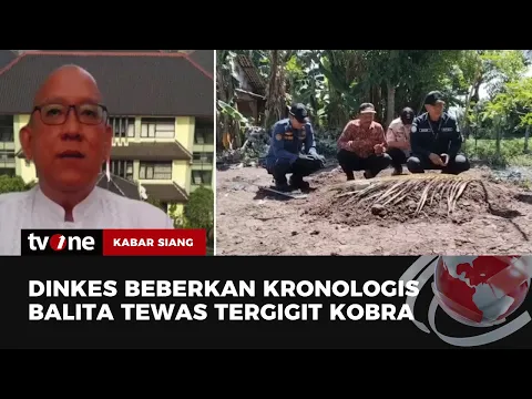 Balita Tewas Digigit Ular Kobra, Ini Keterangan Dinkes Tangerang