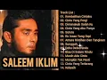 Download Lagu SALEEM IKLIM FULL ALBUM - LAGU MALAYSIA LAMA POPULER