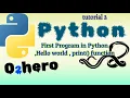 First Program in python Hello world print function Tutorial 2 Brain Power