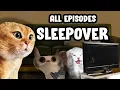 SLEEPOVERS CAT MEME COMPILATION