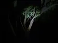 Download Lagu ada suara burung aneh  di makam.