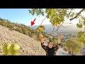 Download Lagu The legend of going to the mountains to pick apples from the rocks for his children.