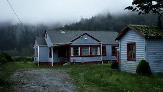 Kids Encounter Bigfoot Outside Bedroom Window In Northern California - PacWest Bigfoot