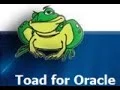 How to connect to Oracle Database using Toad for Oracle