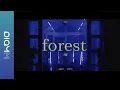 Lagu LIVE CLIP | 한승우 (Han Seung Woo) - forest
