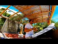 Download Lagu EGIS @ The Palm Star | Groovy house mix 20