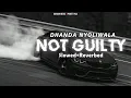 DHANDA NYOLIWALA - Not Guilty [ Slowed + Reverb ]