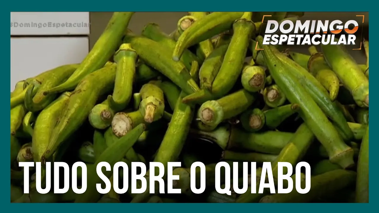 Mitos e Verdades: Saiba como transformar o quiabo em pratos muito saborosos