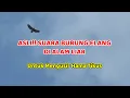Download Lagu ASLI!! SUARA ELANG JAWA DI ALAM LIAR | BURUNG ELANG MENCARI MANGSA
