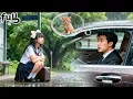 Download Lagu Autistic CEO Fear All Women’s Touch! But Falls Madly For Dumped Student In Rain Like a Stray Kitten!