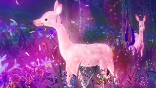 singapore night festival 2019 full hd 