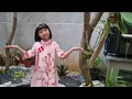 Download Lagu Ting Wo Shuo Xie Xie Ni (cover) by Kirana (8 years old), Gong Xi Fa Cai 2022. May all be well...