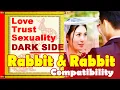 Rabbit and Rabbit Compatibility in Love Life Trust Intimacy Rabbit-Rabbit Chinese Zodiac Compat