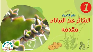 مقدمة في التكاثر عند النباتات علوم العربية 