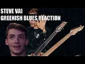 Download Lagu Metal Guitarist Reacts to Greenish Blues by Steve Vai